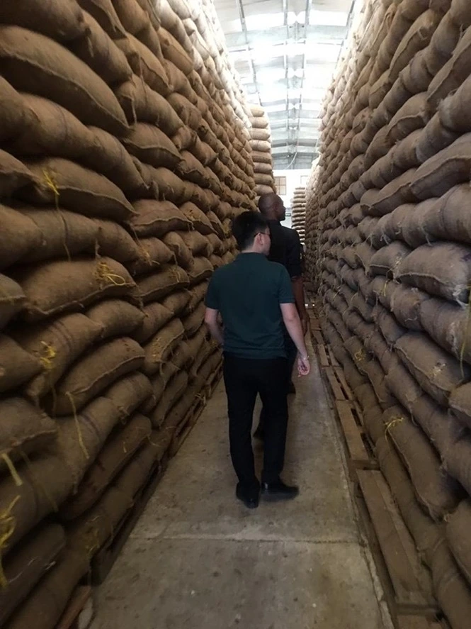 T&T Group signed the largest contract in the history of the world cashew industry